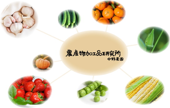 農産物加工品研究所 中野農園 概要紹介
