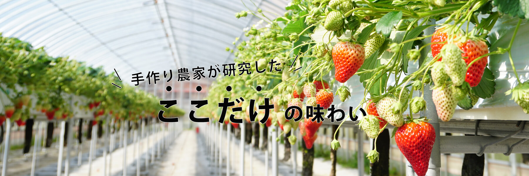 手作り農家が研究したここだけの味わい 農産物加工品研究所 中野農園