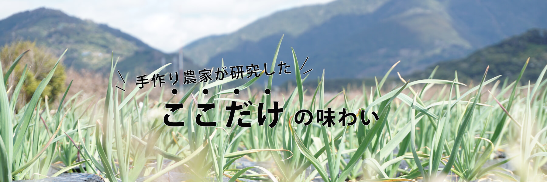 手作り農家が研究したここだけの味わい 農産物加工品研究所 中野農園