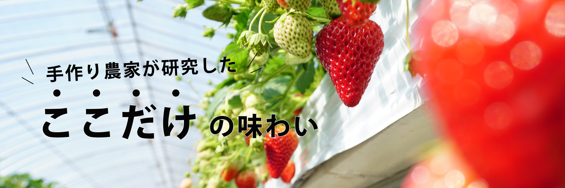 手作り農家が研究したここだけの味わい 農産物加工品研究所 中野農園